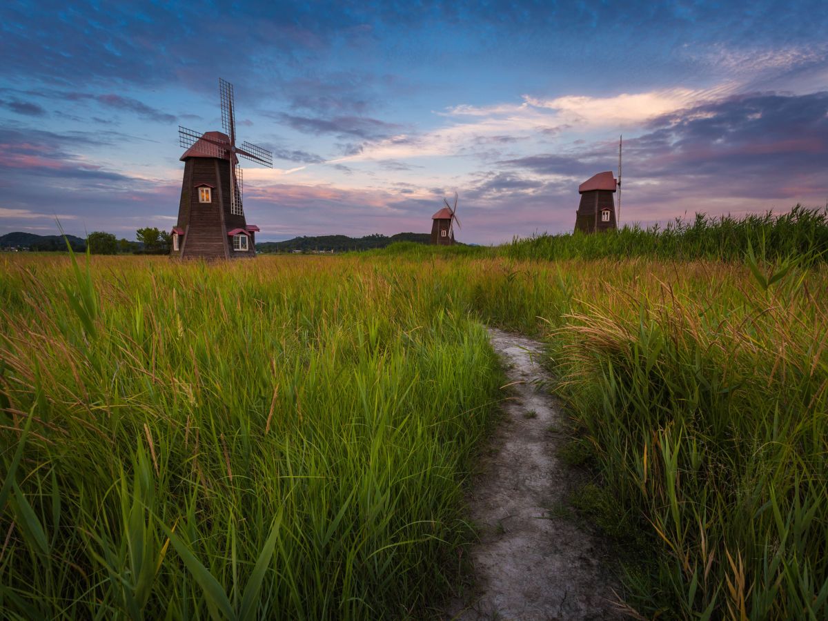 My Response to a Friend’s&nbsp;Question